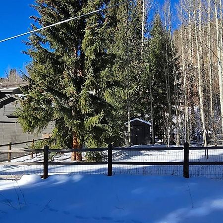 Private And Updated Breck Home With Hot Tub Breckenridge Exteriör bild